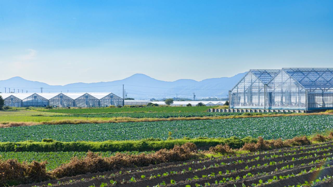 岡崎市大西町の土地